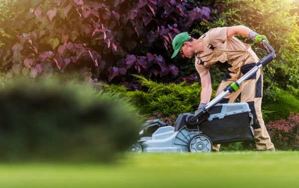 Cost of Lawn Care And Maintenance in Waco