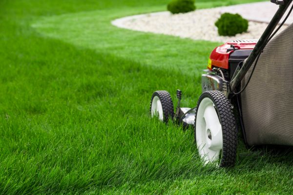 Residential Yard Mowing in Waco