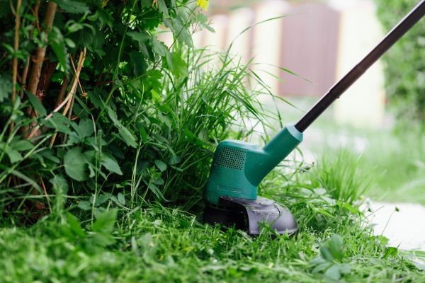 Cost of Weed Whacking in Waco