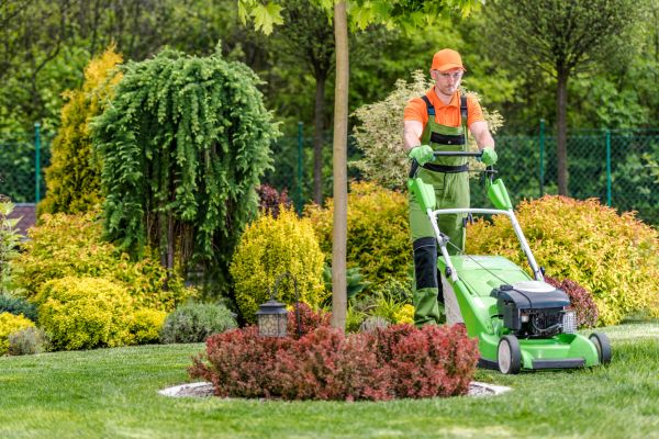 Cost of Yard Service in Waco