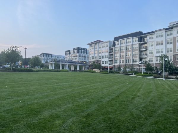 Cost of Urban Lawn Care in Waco