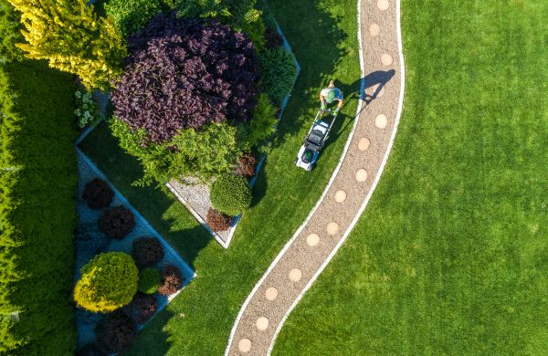 Cost of Mowing And Landscaping in Waco
