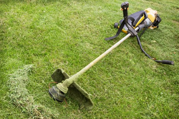 Cost of Hillside Weed Whacking in Waco