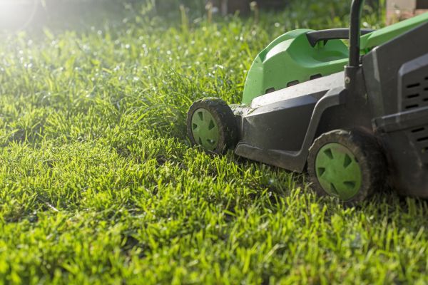 Cost of Lot Mowing in Waco