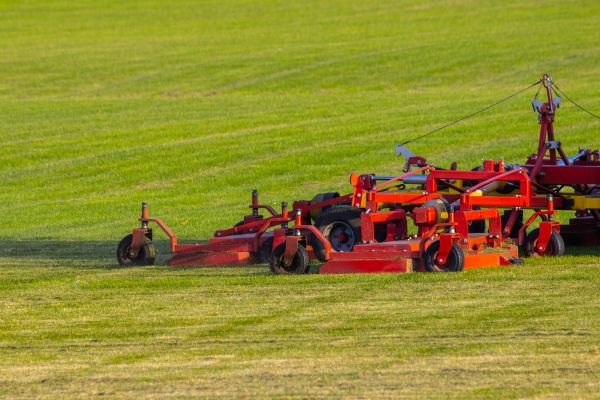 Cost of Industrial Lawn Service in Waco
