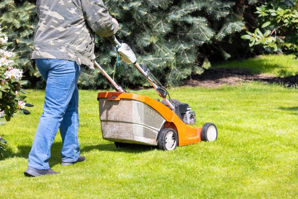 Cost of Springtime Lawn Care in Waco