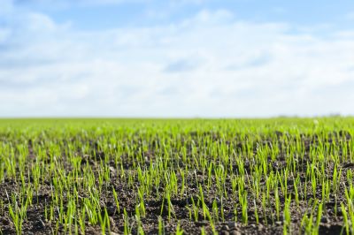 Grass Growth Monitoring