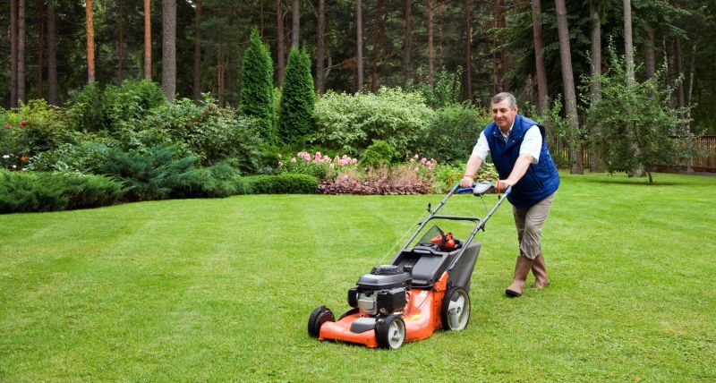 Spring Lawn Care